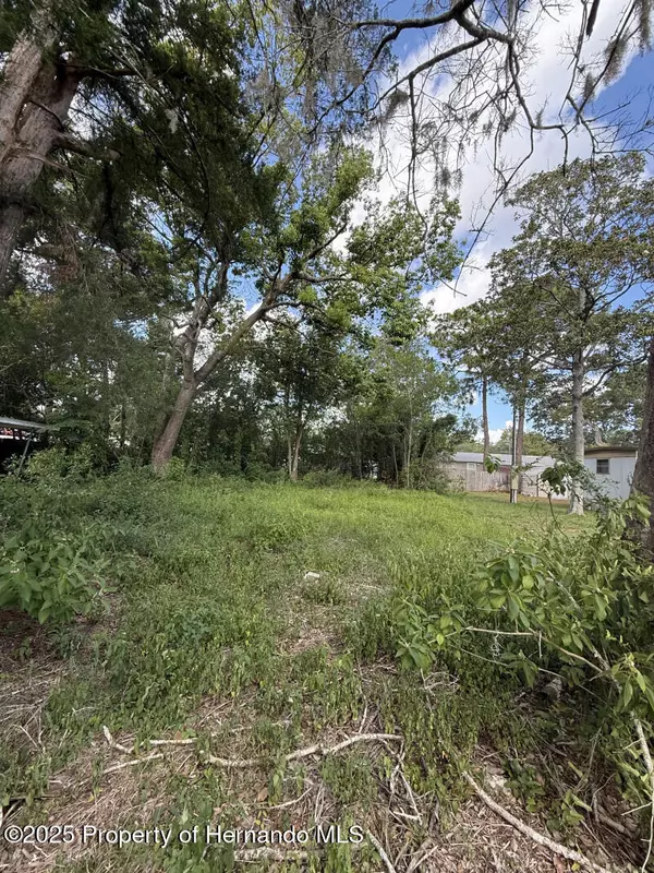 Spring Hill, FL 34606,3219 Welsh Street