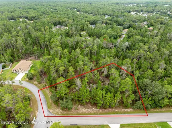 80 Bells of Ireland Court, Homosassa, FL 34446