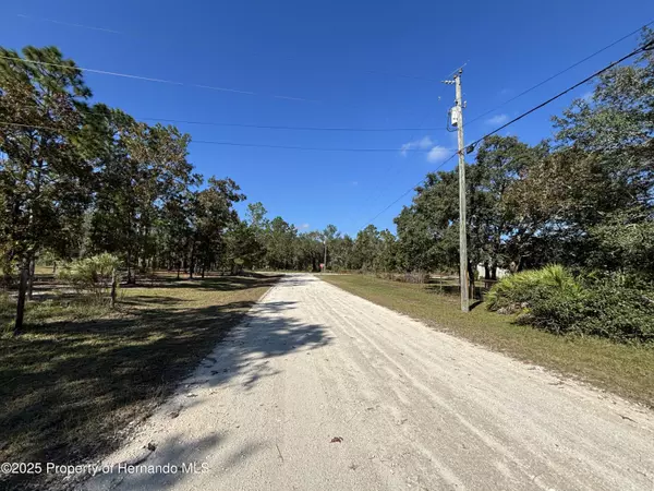 Weeki Wachee, FL 34614,2 Rapidan Road