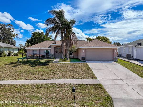 12552 Corrine Avenue, Spring Hill, FL 34609
