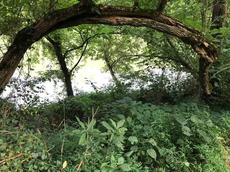 279 Amster Grove Road, Winchester, KY 40391