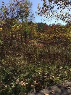 Jamestown, KY 42629,26 Denmark Road