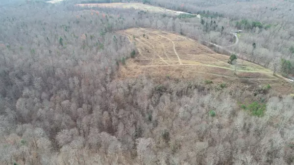 Williamsburg, KY 40769,895 Youngs Ck.