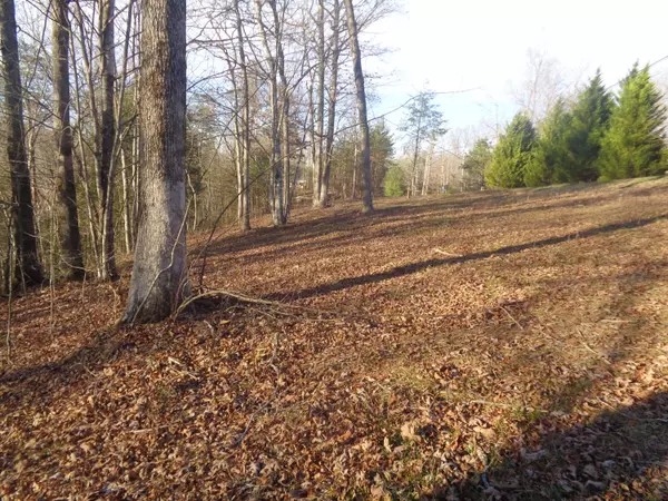 London, KY 40741,Lot 5 Fount Hubbard Road