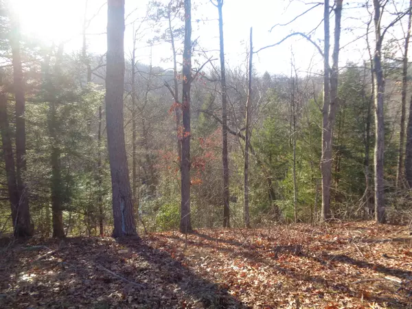 Lot 9 Fount Hubbard Road, London, KY 40741