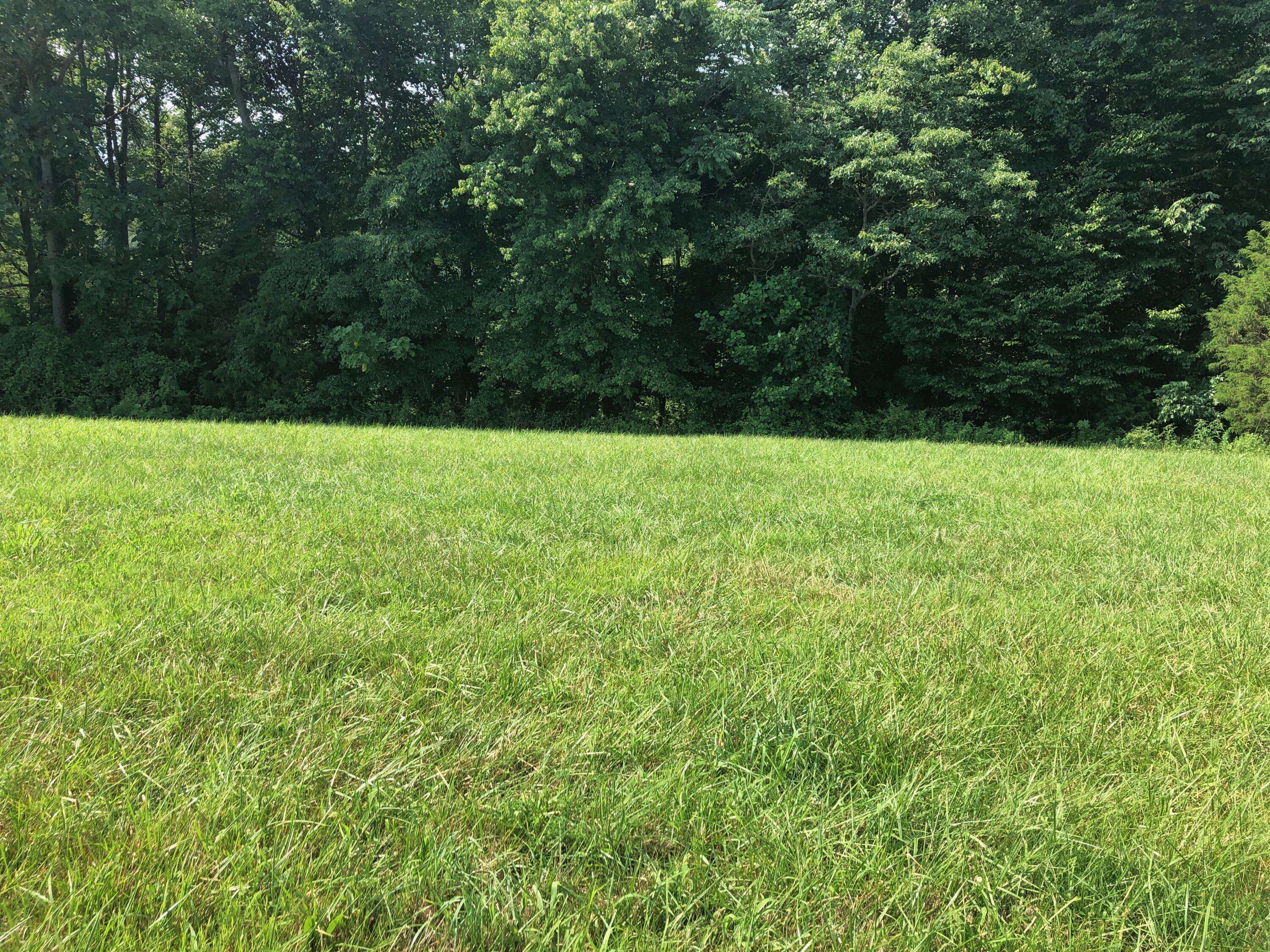 Russell Springs, KY 42642,155 Wedge Way