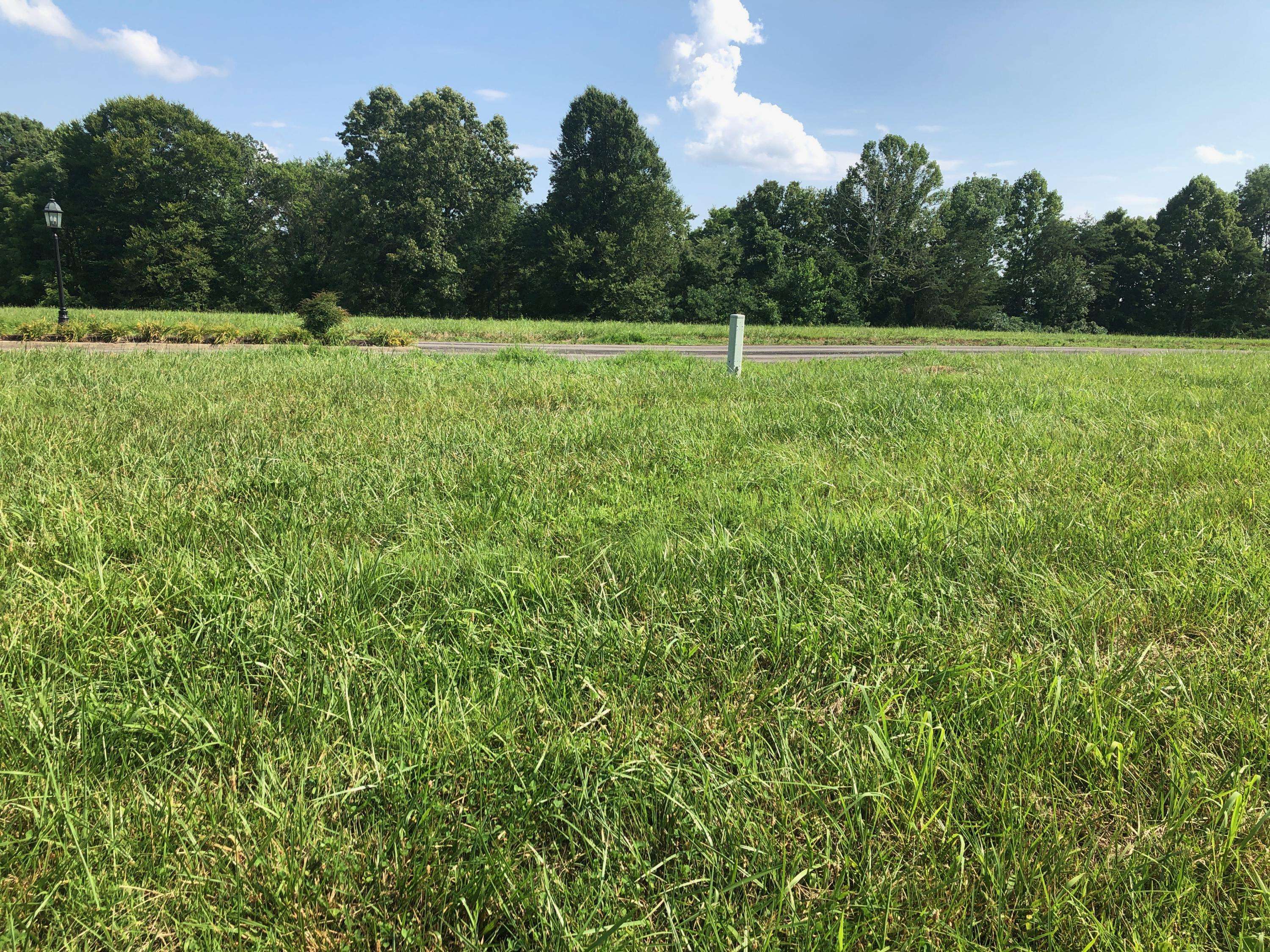 Russell Springs, KY 42642,155 Wedge Way