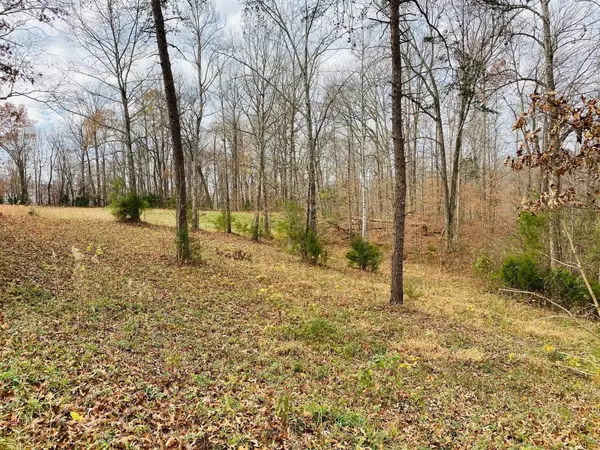 Monticello, KY 42633,2 Stearns Hollow Rd