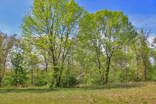 Somerset, KY 42503,130 Lake Crest Drive