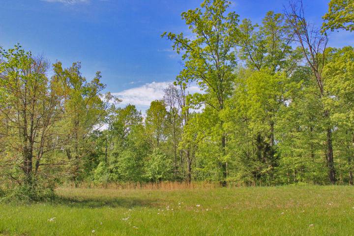 Somerset, KY 42503,64 Lake Crest Drive