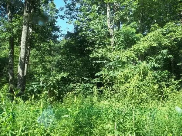 Grayson, KY 41143,Lot 8 Promise Land Drive