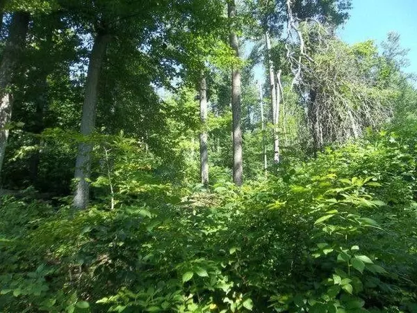 Grayson, KY 41143,Lot 11 Promise Land Drive