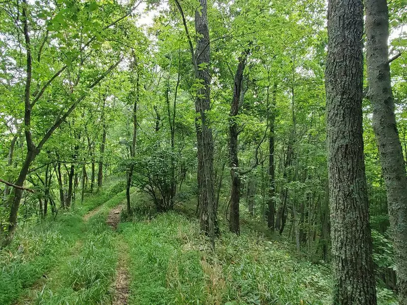 Lot 12 Promise Land Drive, Grayson, KY 41143