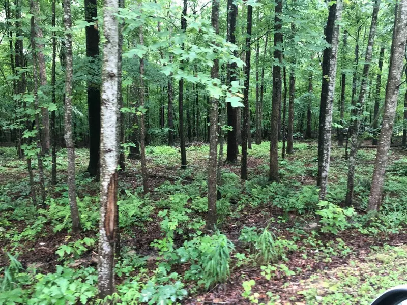 Lot 13 Promise Land Drive, Grayson, KY 41143