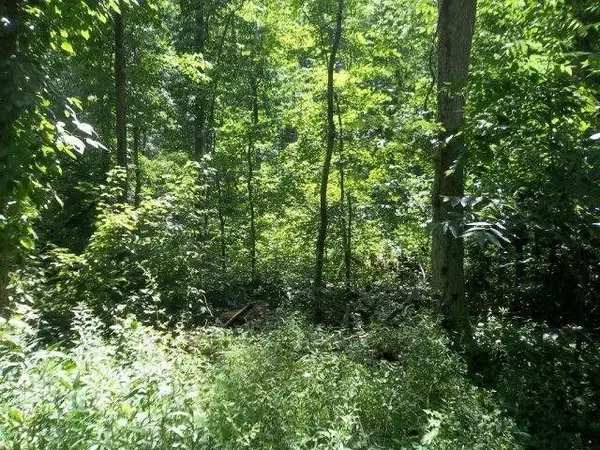 Grayson, KY 41143,Lot 14 Promise Land Drive