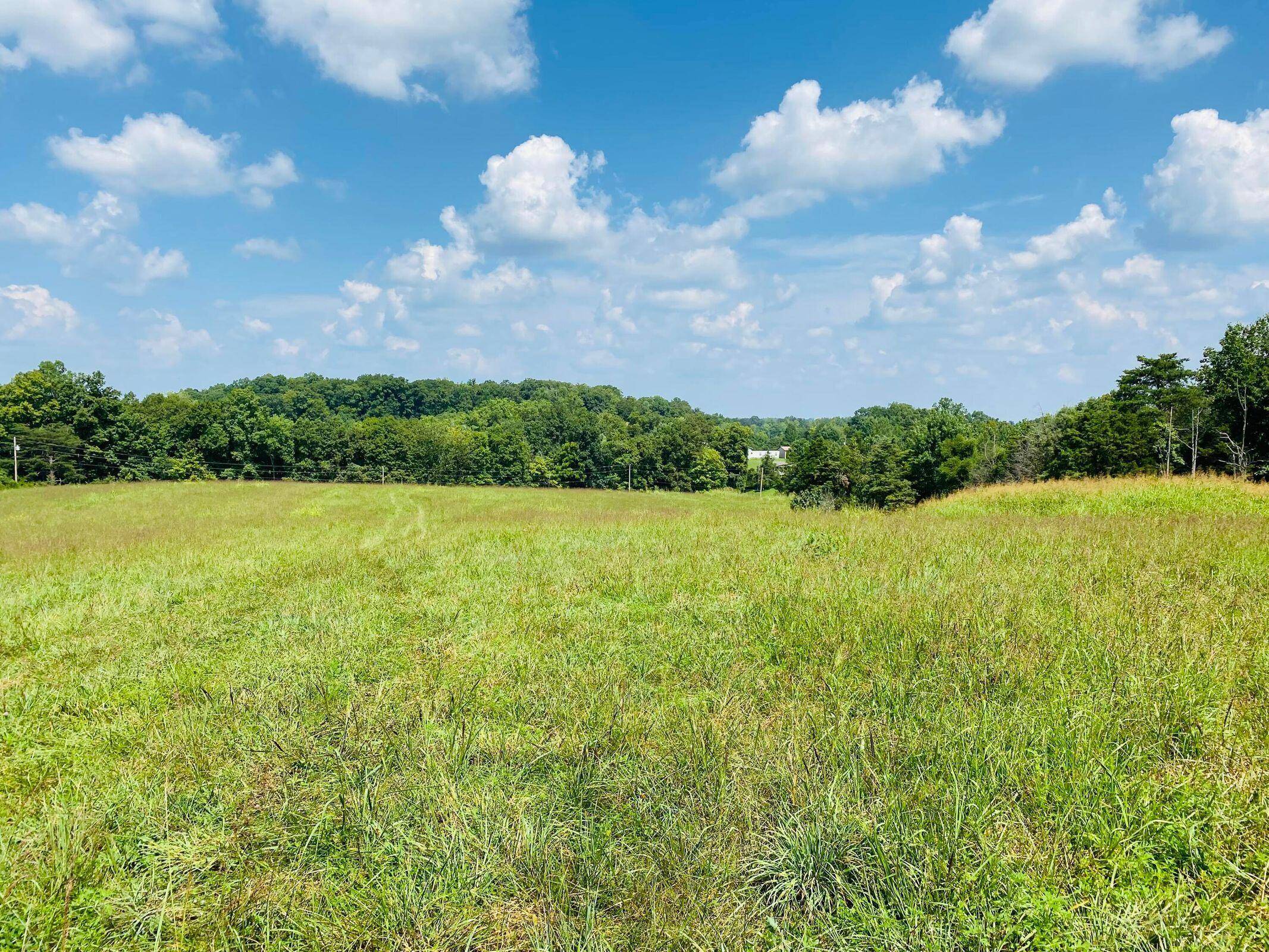 Russell Springs, KY 42642,1 Beech Grove Rd