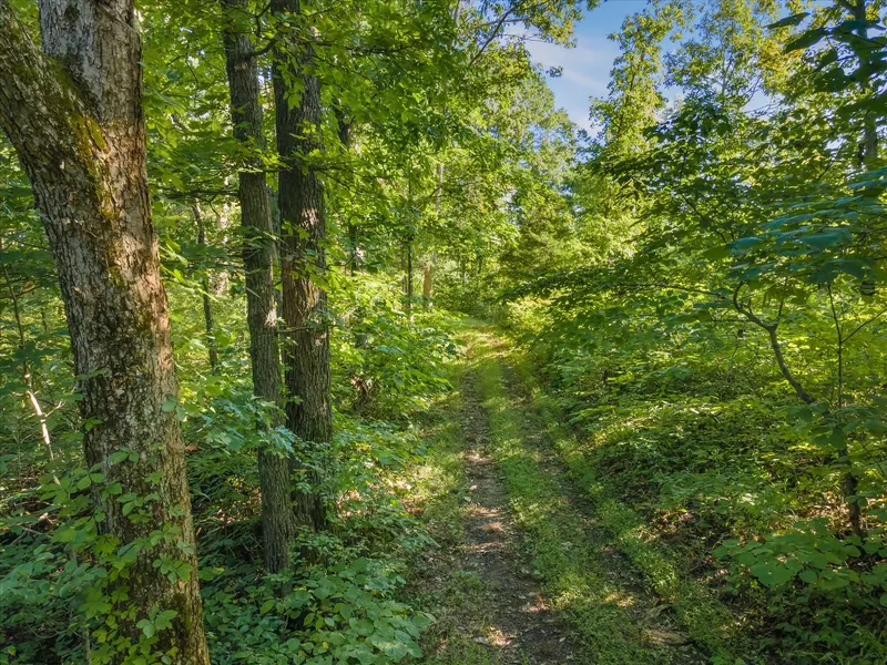 800 Payton Ridge Road, Owenton, KY 40359