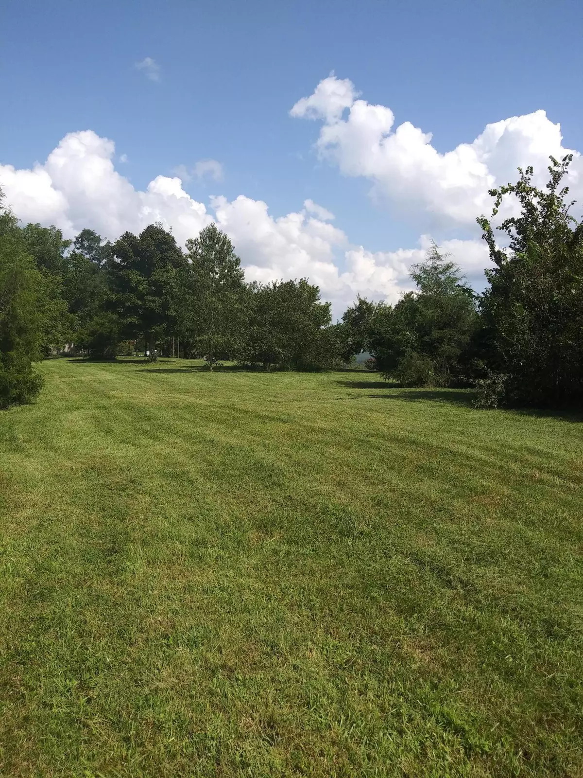 Owingsville, KY 40360,1 S Hwy.36