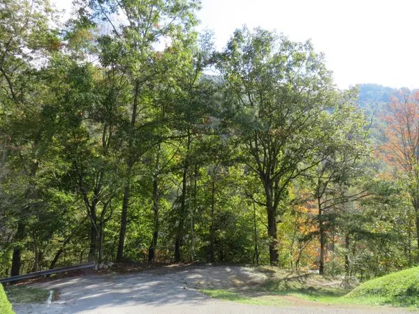 Bledsoe, KY 40810,6762 E Highway 221