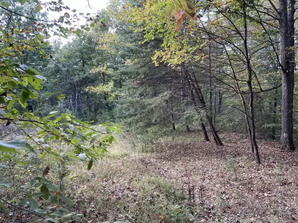 Irvine, KY 40336,1420 Flinchum Ridge Ridge