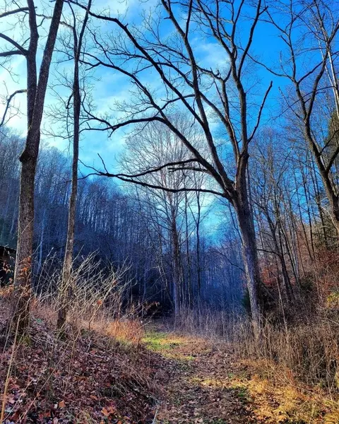 634 Danger Branch Road, Oneida, KY 40972