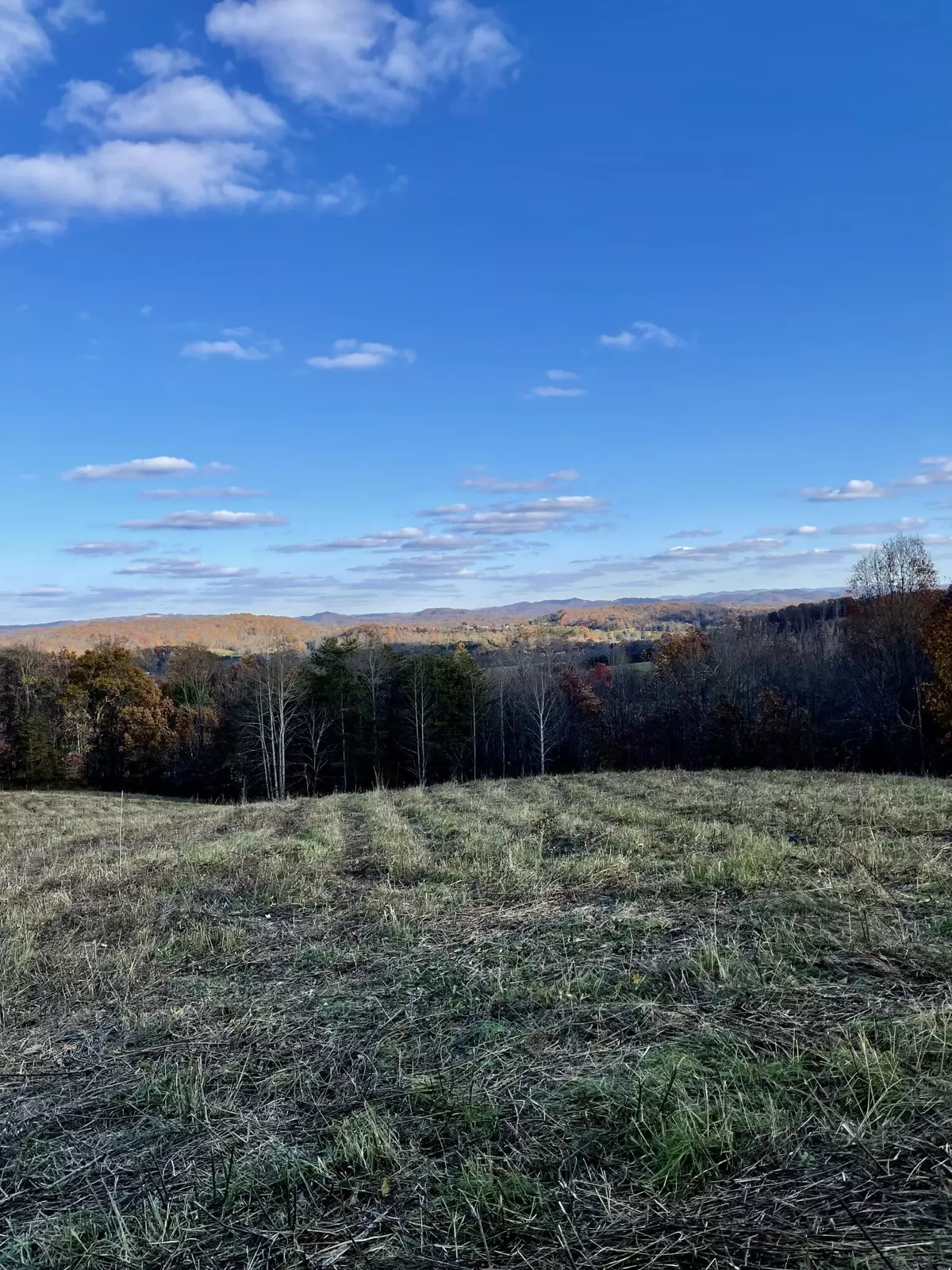 Williamsburg, KY 40769,0000 Log Cabin Rd