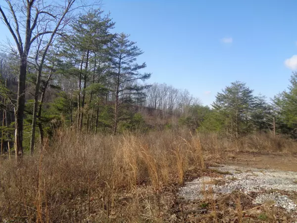 East Bernstadt, KY 40729,6-7 Freeman Branch Road