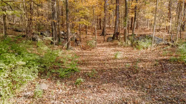 Monticello, KY 42633,5192 Highway 1619