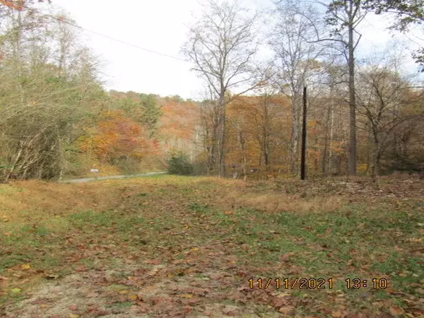 Stearns, KY 42647,933 Wolf Creek Road