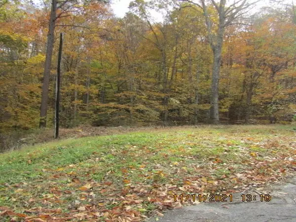 Stearns, KY 42647,933 Wolf Creek Road