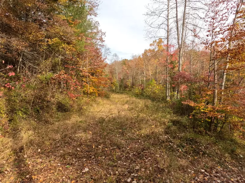 1 Ellen Drake Road, Campton, KY 41301
