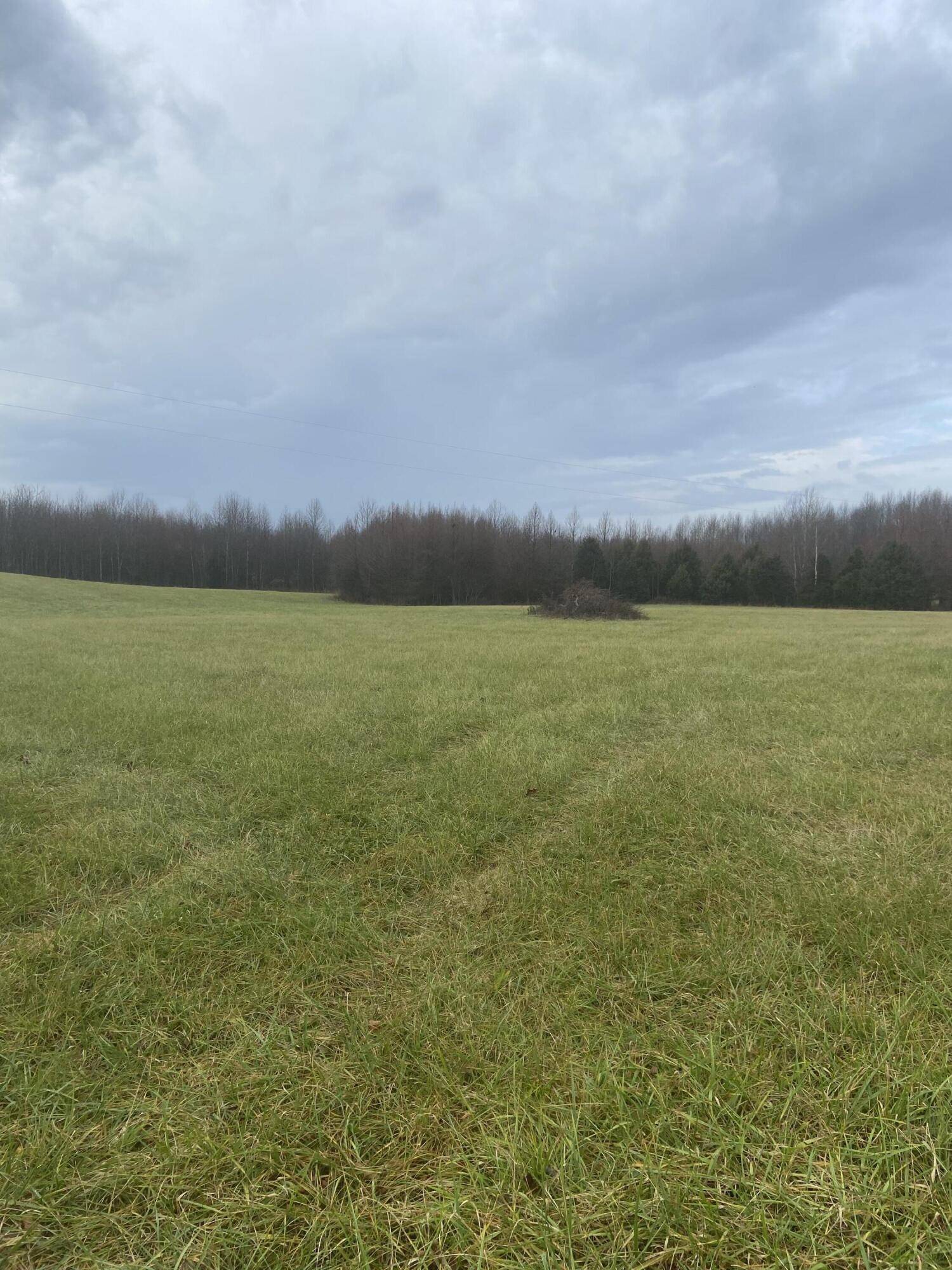 74-A David Roy Road, Russell Springs, KY 42642