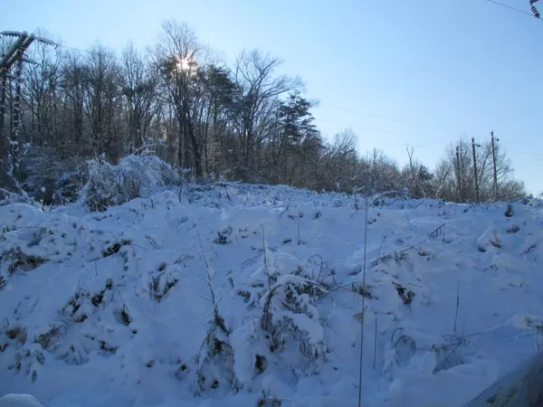 Williamsburg, KY 40769,9999 Campbell Hill Road