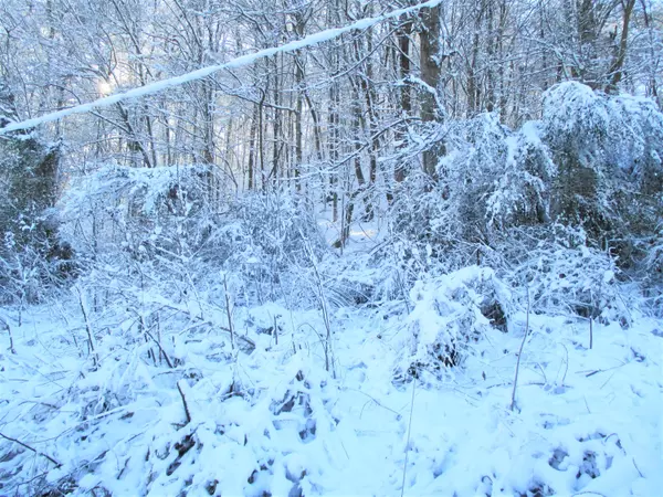 Williamsburg, KY 40769,9999 Campbell Hill Road