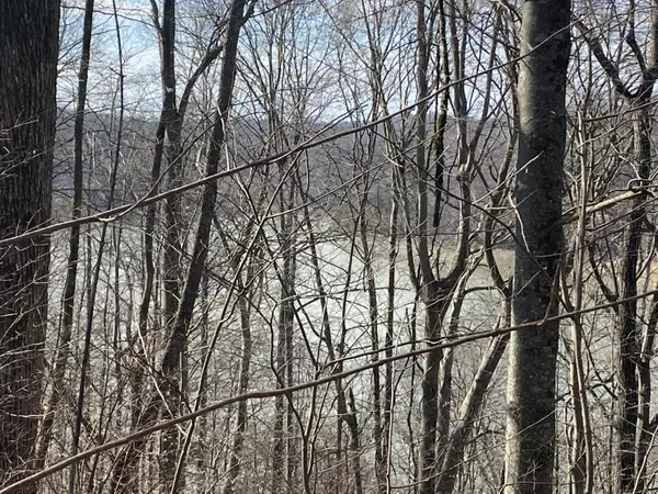 Russell Springs, KY 42642,12 West Old Jamestown Road