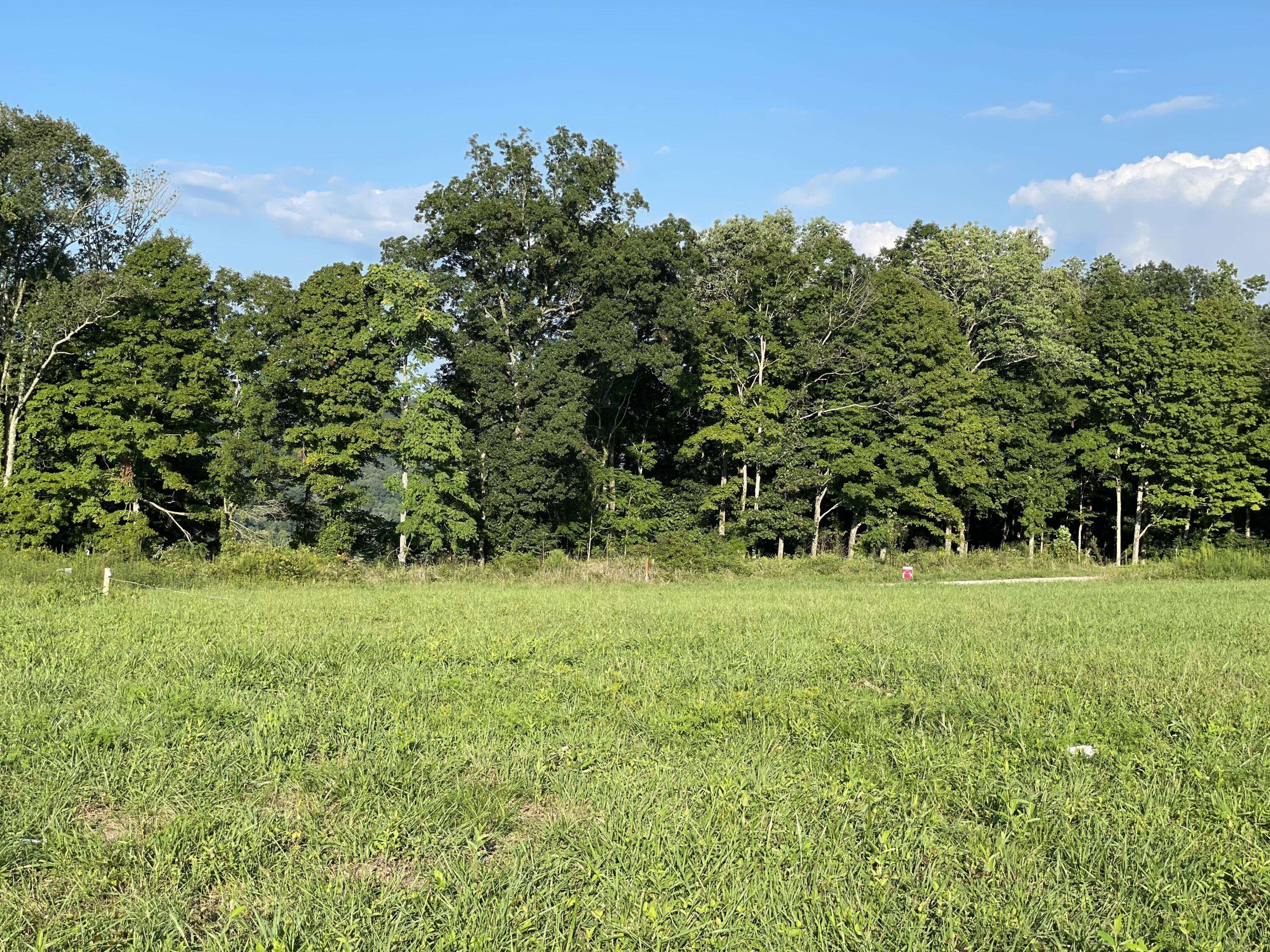 47 Gracie Lane (Lot 4), Russell Springs, KY 42642