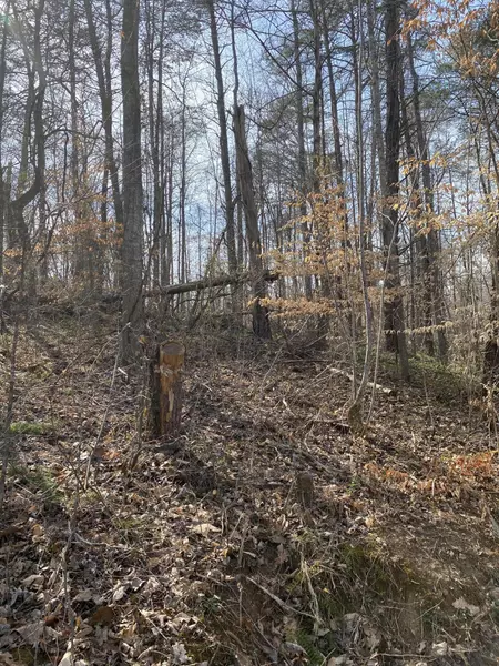 Lot 23 Lakeview Drive, Burnside, KY 42519