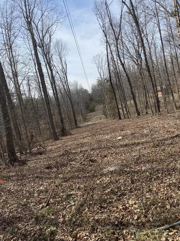 Burnside, KY 42519,Lot 33,35 Garland Road