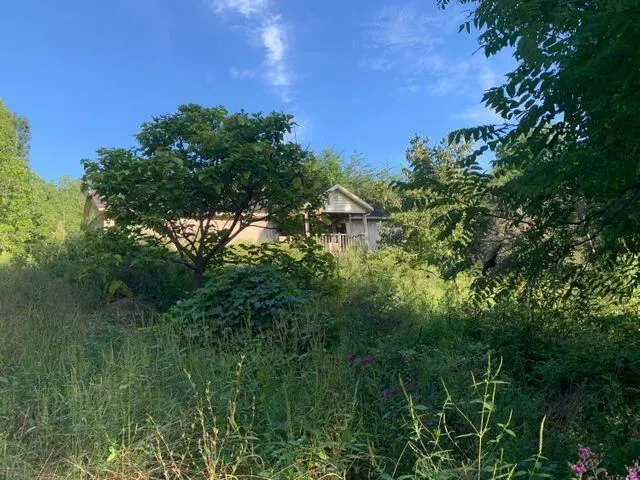 8802 Winchester Road, Irvine, KY 40336