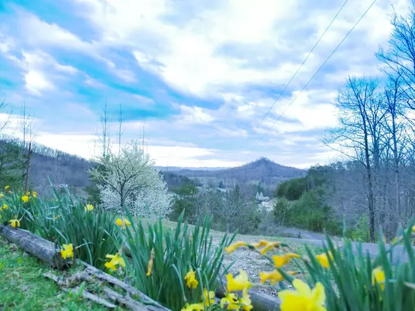 Stanton, KY 40380,385 Jerrica Leigh Lane