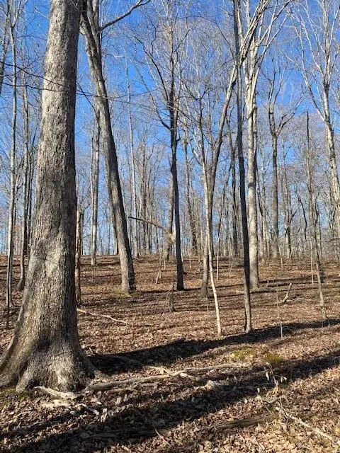 Nancy, KY 42544,Lot 44 Cherokee Village