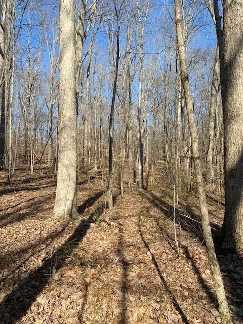 Nancy, KY 42544,Lot 43 A-B Cherokee Village