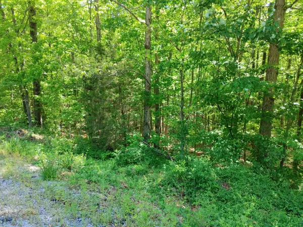 Irvine, KY 40336,Lot 6 Woods Trail Drive