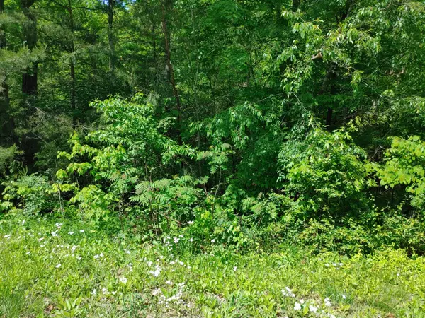 Irvine, KY 40336,Lot 6 Woods Trail Drive