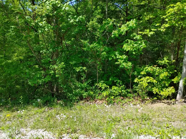 Irvine, KY 40336,Lot 7 Woods Trail Drive