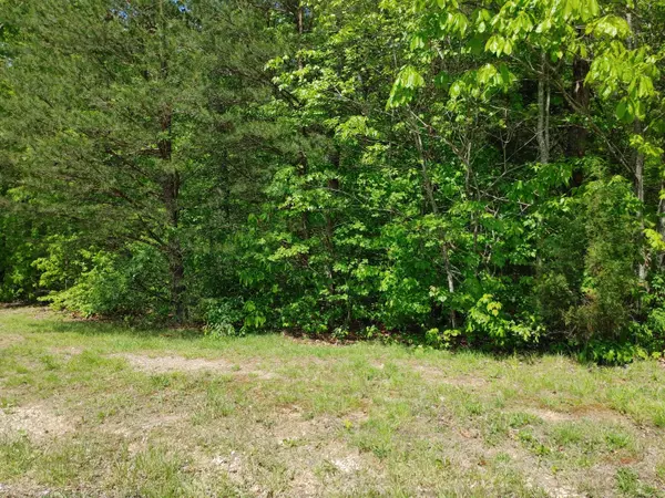 Irvine, KY 40336,Lot 8 Woods Trail Drive