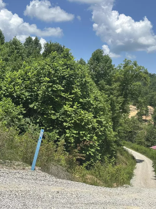 East Bernstadt, KY 40729,Lot 5 Sleepy Hollow Road