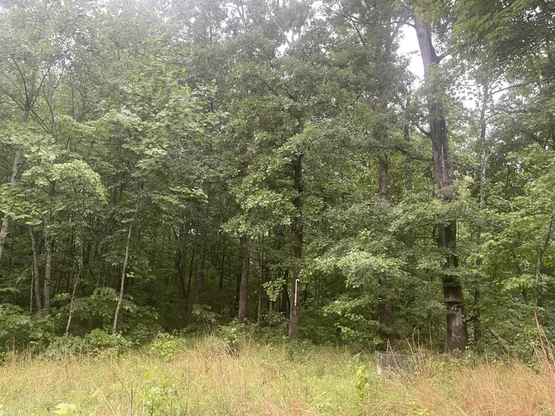 0000 Smith's Grove Road, Burkesville, KY 42717