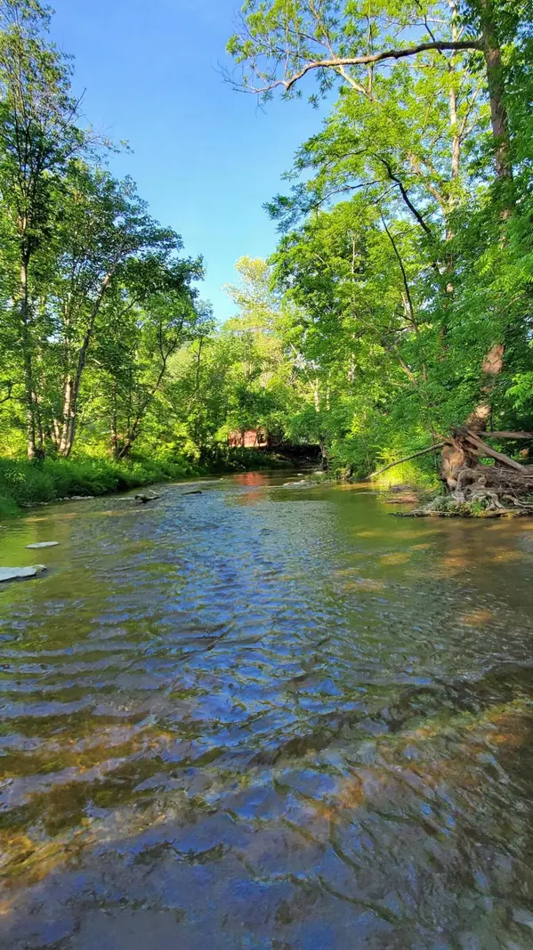 Science Hill, KY 42553,2875 Pointer Creek Road