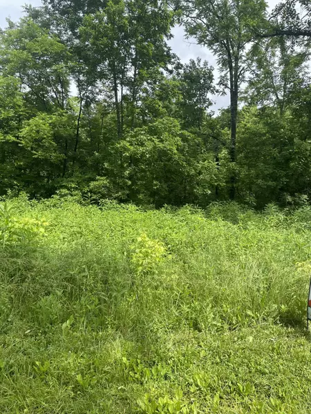 0 Scaffold Lick Creek Tract #2 Road, Berry, KY 41003